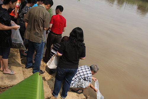 Penyelamatan Hewan 9 Mei 2013