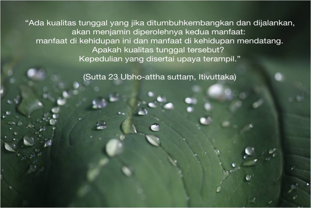 Kualitas Tunggal