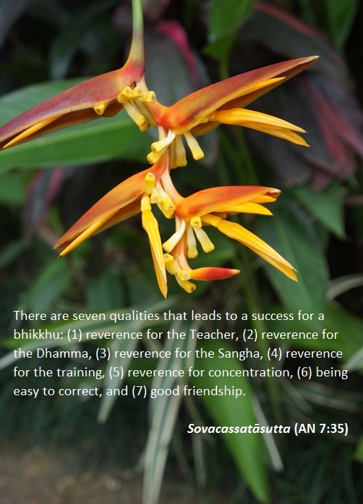 Seven Qualities For Success